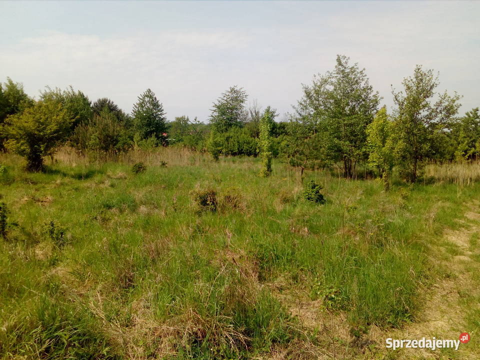 Działka budowlana 1200 m2 Morzęcin Mały droga