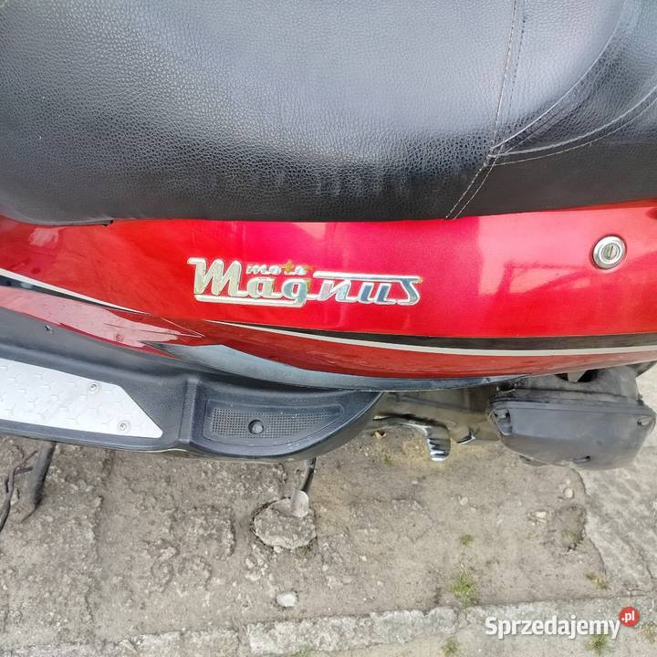 Magnus Trex 2t 50 2008 benzyna