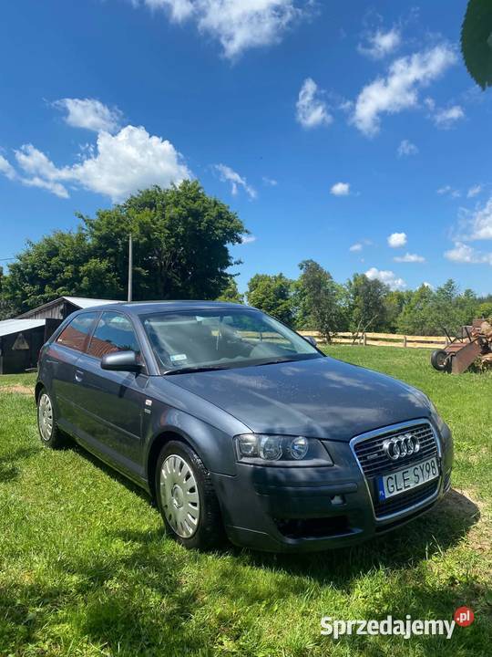 Audi A3 8P 2003r Łoźnik