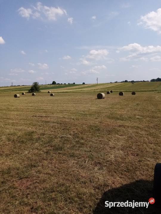 Sprzedam siano w balotach z 2023r Winowno sprzedam
