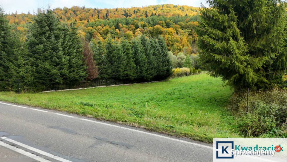 Grunt 41000m2 Łączki Sprzedaż