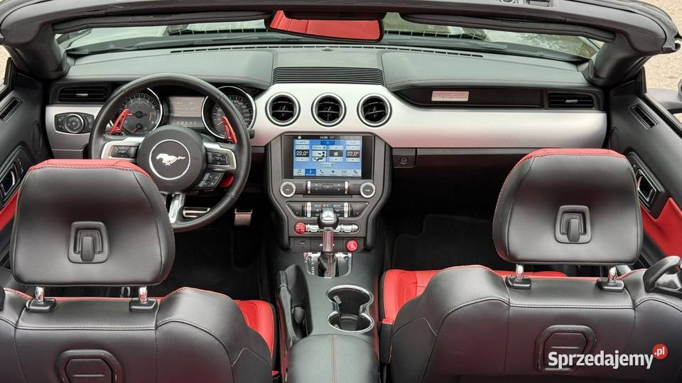 Mustang Europa wersja Szwajcaria Bełżyce