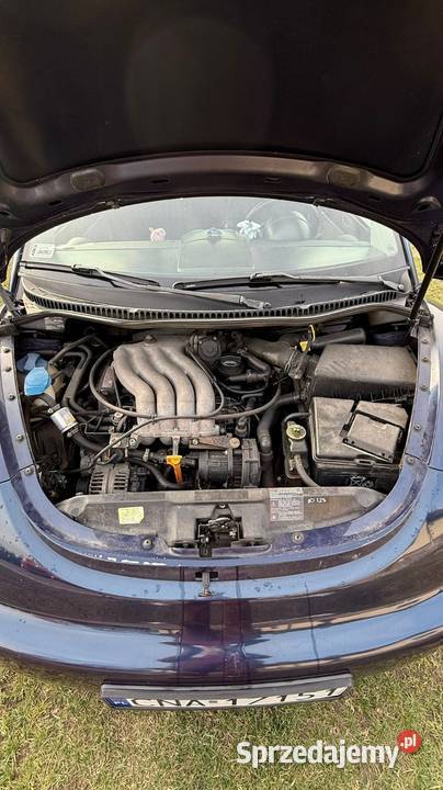 VW Beetle BG stan Bydgoszcz sprzedam