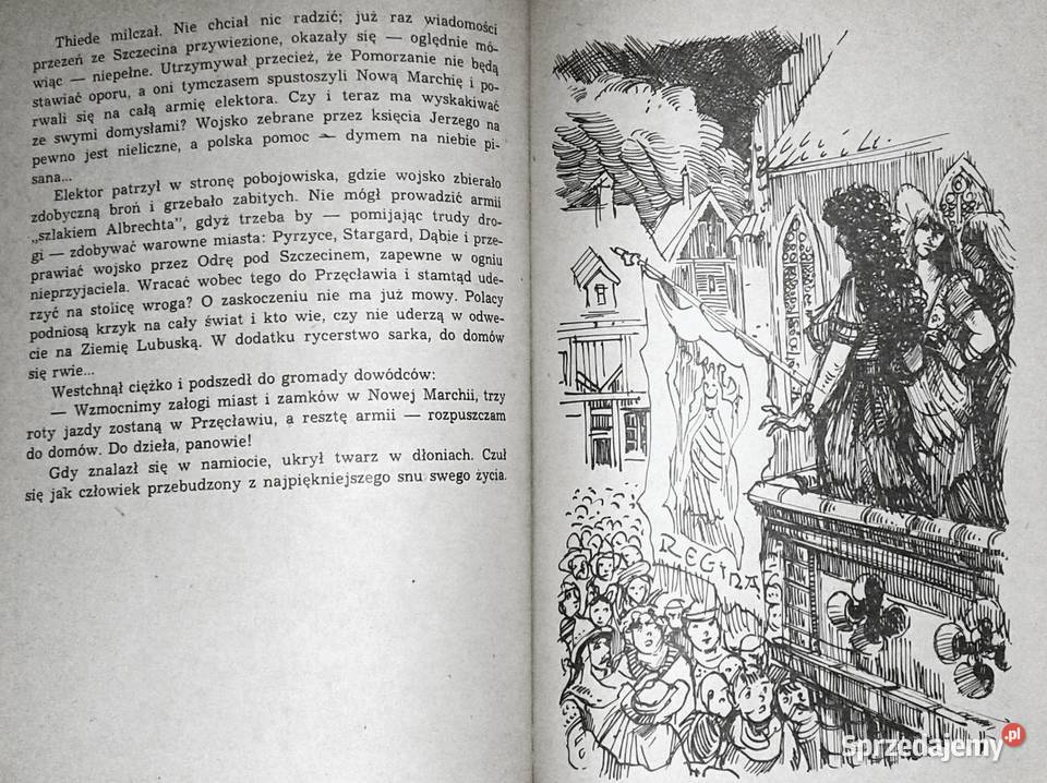 Mściciel przypływa z Rugii Ireneusz Gwidon miękka Pozostałe Chełm