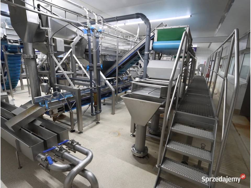 Odenberg Tomra Linia sortowania ziemniaków Krotoszyn