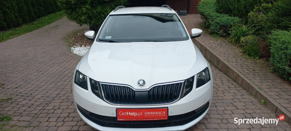 koda Octavia DSG Ledy Climatronic Dwustrefowy Octavia Gdańsk