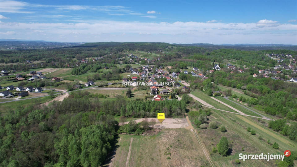 sprzedaży działki 5290m2 Przeginia Narodowa
