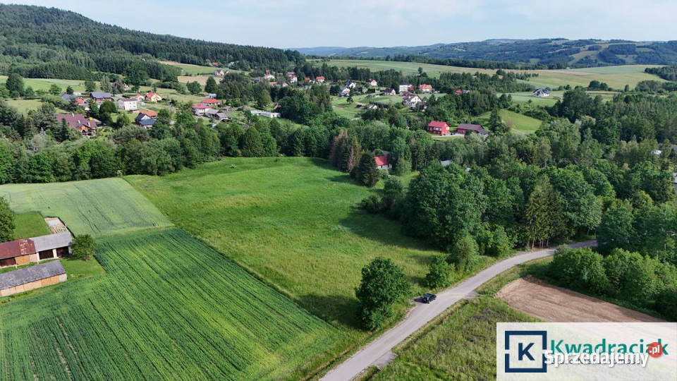 Działka 13100m2 Krasna podkarpackie