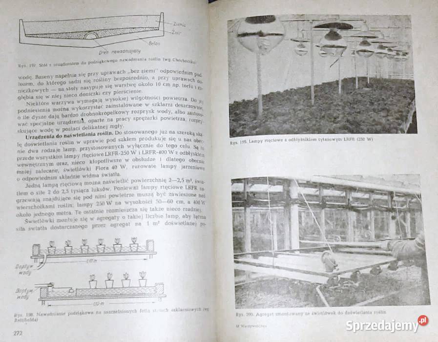 Warzywnictwo M Lityński H Nieć lubelskie Chełm
