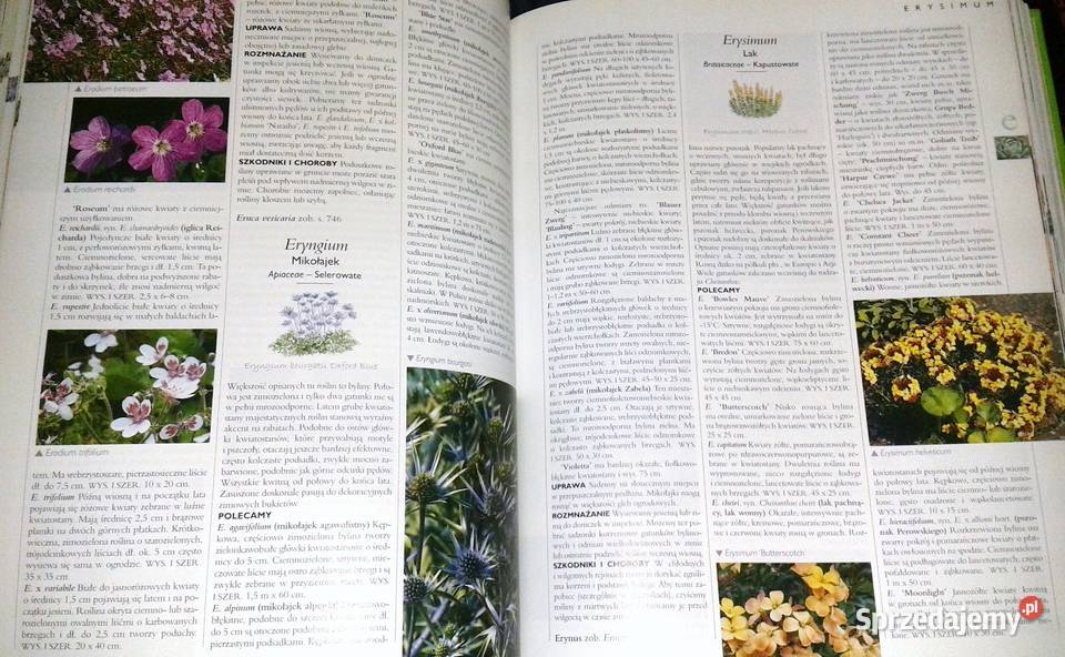 Wielka ilustrowana encyklopedia roślin lubelskie