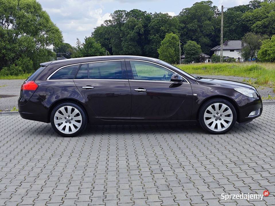 Opel Insignia 20 160 mały przebieg manualna Dębica