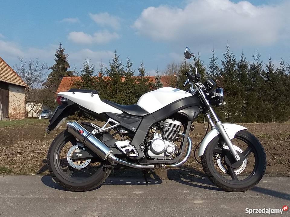 Daelim VJ125 Roadwin super stan dodatki linki Rok produkcji 2008 Nysa sprzedam