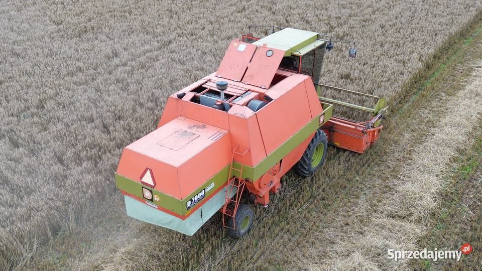 Dronningborg D7000 Bizon Z056 Class Holland Kabina Jabłonowo Pomorskie