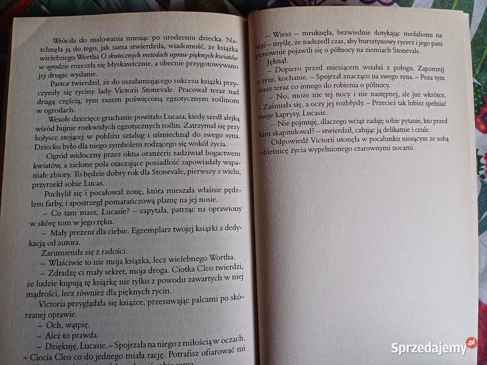 Ryzykantka Amanda Quick Kraków