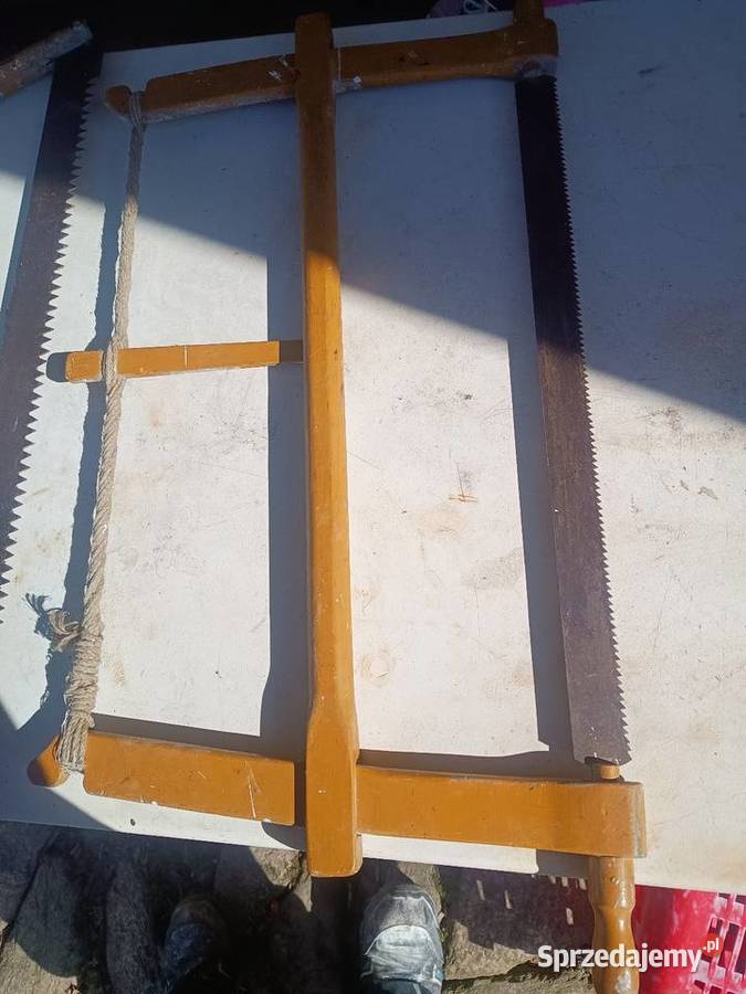 Piła do drzewa