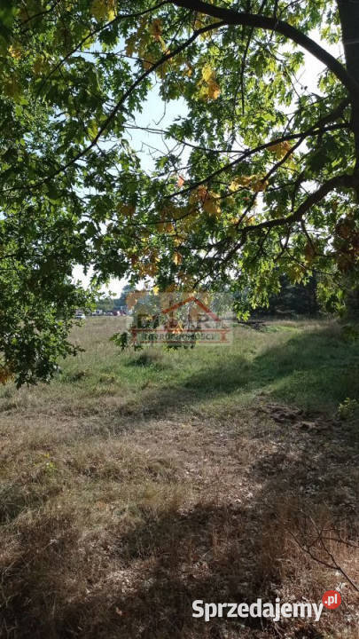 Grunt Czaplinek Grójecka 13400m2 mazowieckie