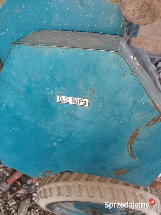 Siewnik poznaniak Zamość