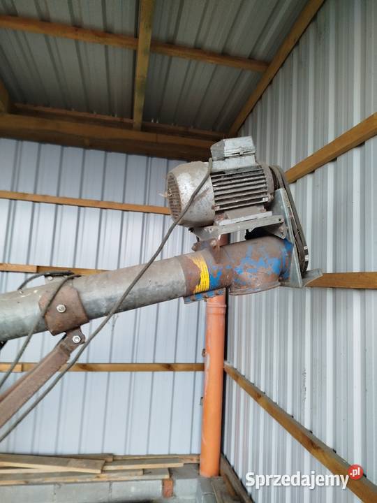 Sprzedam żmijkę do zboża kujawsko-pomorskie Piotrków Kujawski