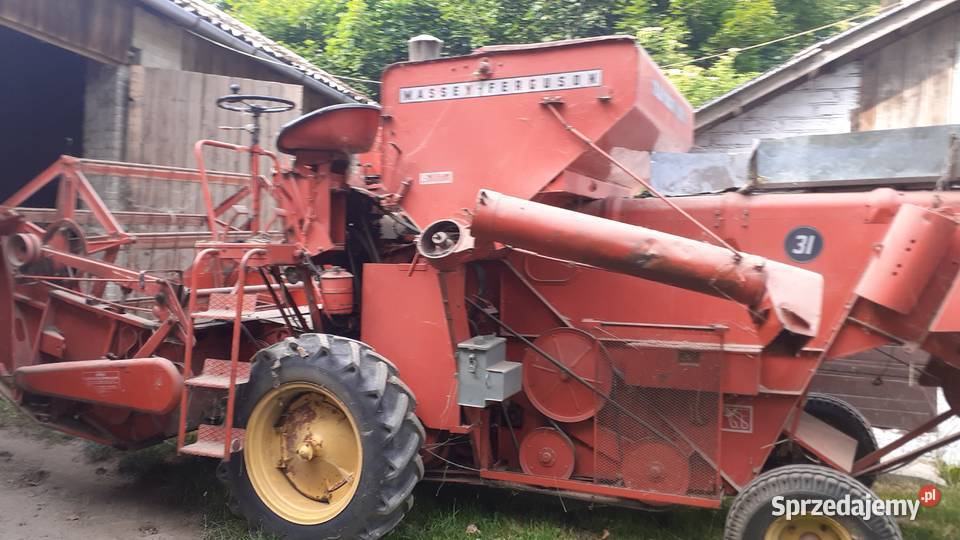 Kombajn zbożowy Massey Ferguson 31 Zakrzówek