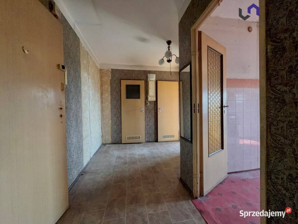 Ogłoszenie mieszkanie Sosnowiec 50m2 2pok Mieszkania śląskie