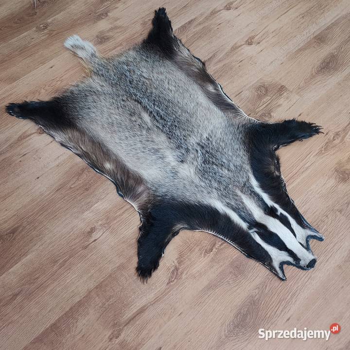 Skóra Naturalna BORSUK Skóra Dekoracyjna z Dekoracje i ozdoby