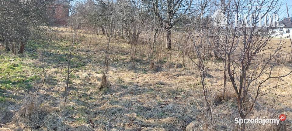 Działka budowlana 8 a w Turzy gm Rzepiennik 800m2 Turza sprzedam