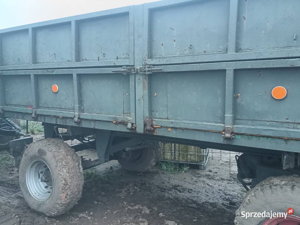 Przyczepa czeska brandys Barnim