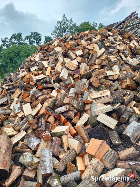 Drewno Buk brzoza mix sosna Gryfino