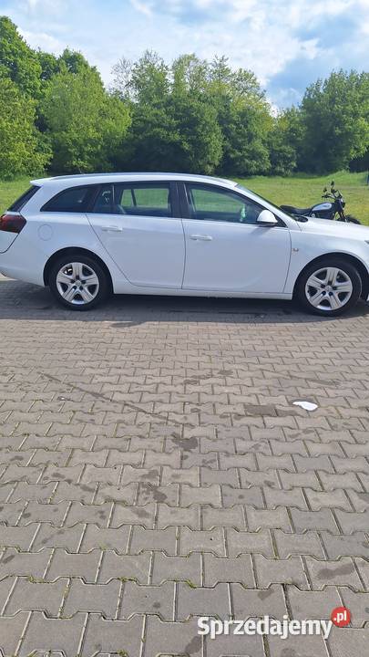Opel insignia Nierada