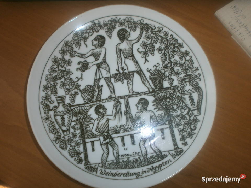 EGIPT zbiór winogrona HUTSCHENREUTHER Zielona Góra