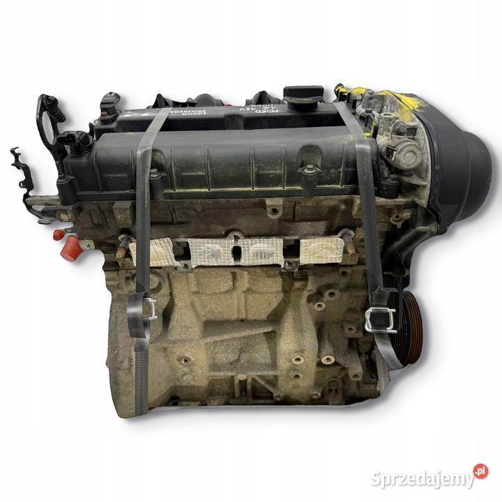 SILNIK HXDA HXDB Ford Focus II MK2 C C 16 16V Ti osobowe Chełm