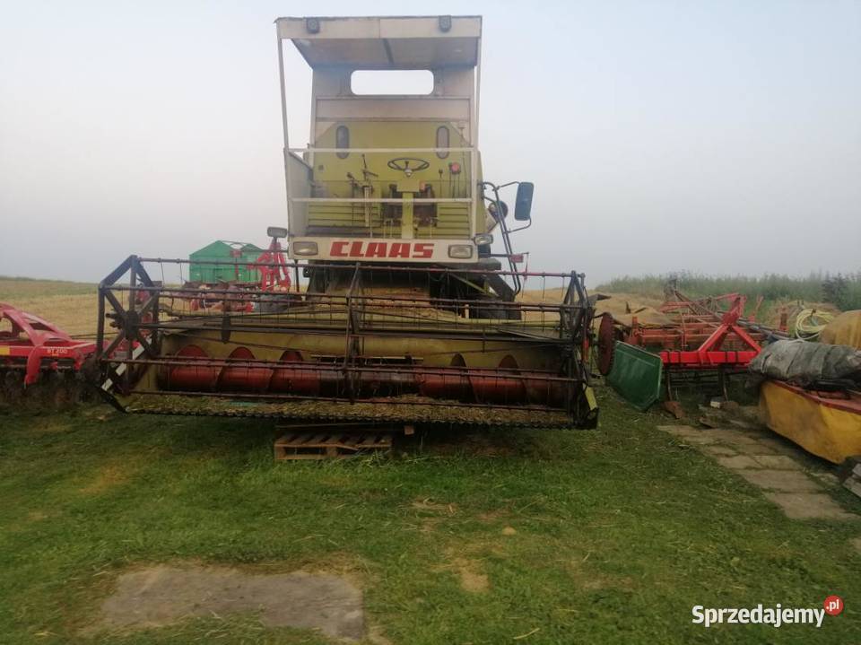 Kombajn zbożowy claas senator Niechobrz