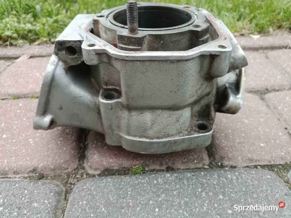 Polini 160 rotax 122123 Silniki i osprzęt Silniki i osprzęt Siedlce sprzedam