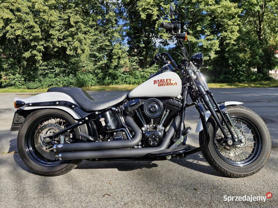 Harley Davidson Softail Cross Bones Myślenice