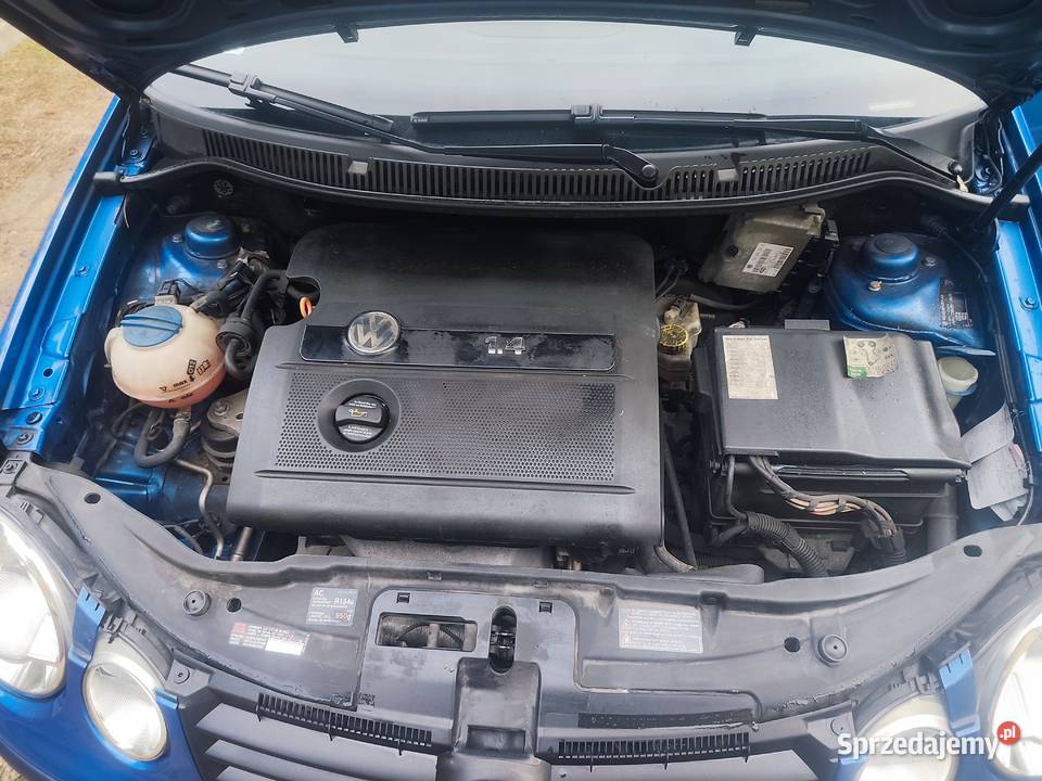 VW POLO 14 AUTOMAT 123000 Kielce