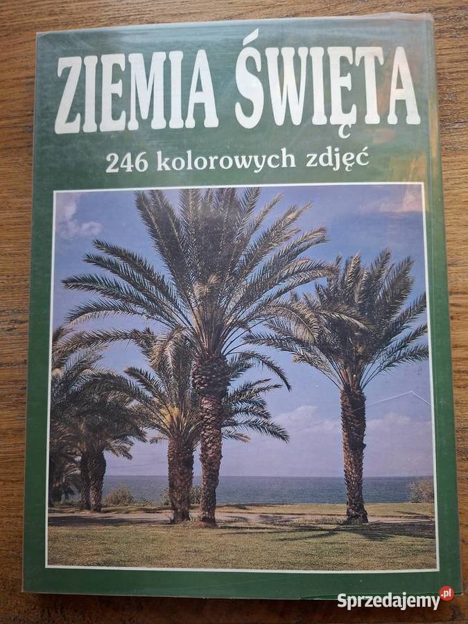 Ziemia Święta Luigi Lombardi miękka Kraków