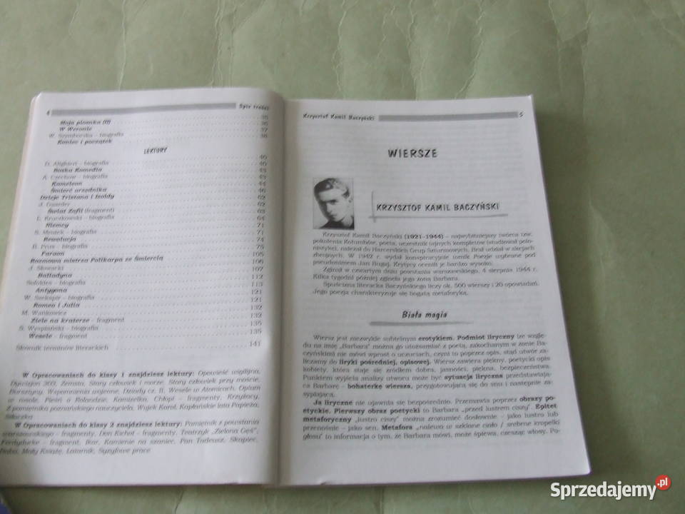 Język polski Repetytorium Gimnazjum Opracowania Podręczniki dolnośląskie Oborniki Śląskie