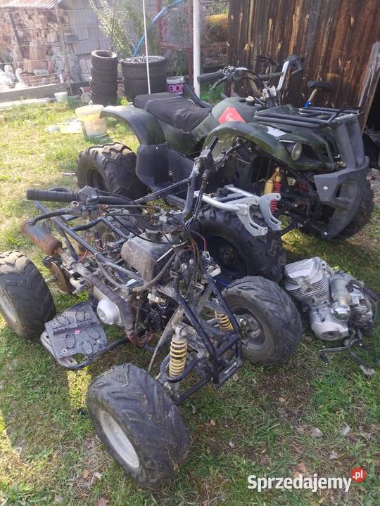 Quad 110 i 200 Bashan Dzikowiec