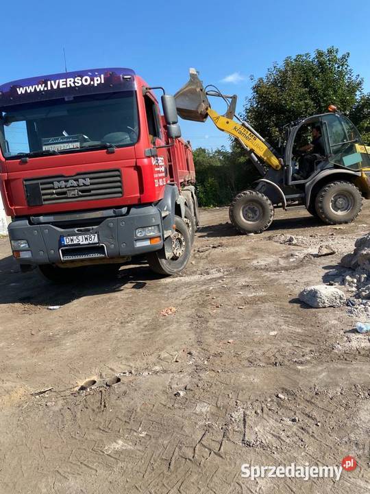Grys ozdobny dalmatyńczyk 811 816 1622 Najlepsze Wrocław