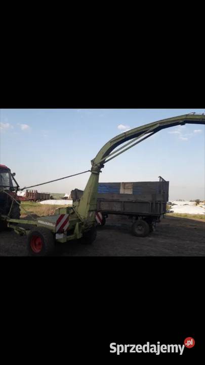 Sieczkarnia claas jaguar 60 Września