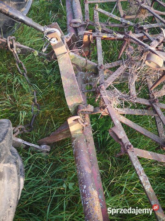 Brony lekkie dolnośląskie Garwół sprzedam