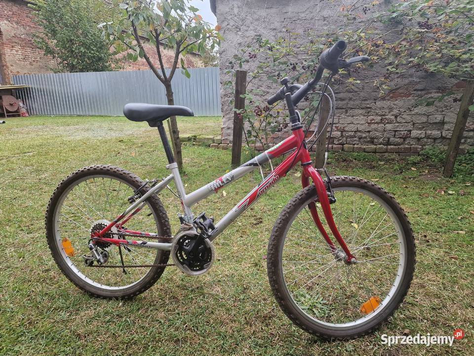 rower damka lubuskie Gubin