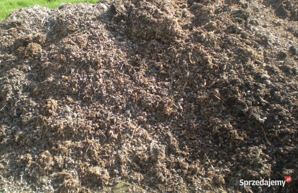 Kurzak Nawozy i ŚOR Iłża