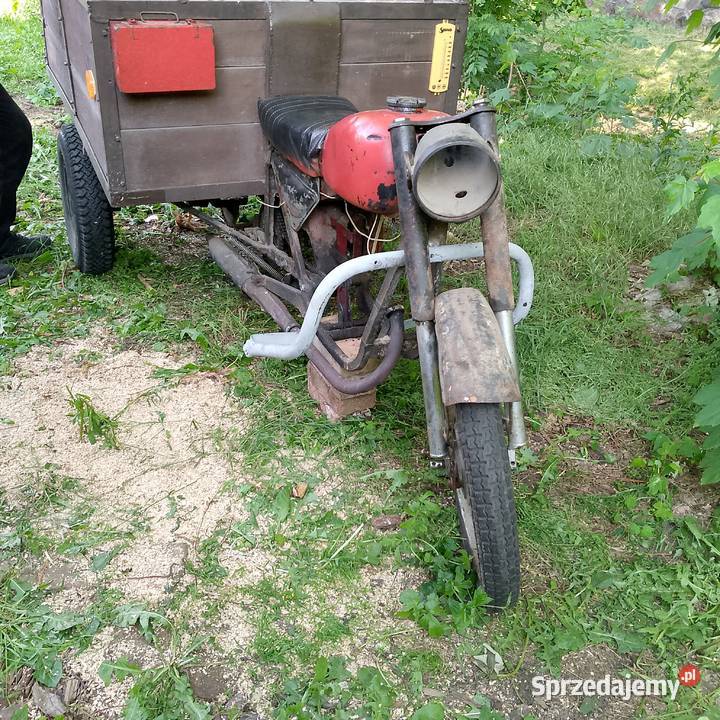 wsk wfm dzik rama Międzychód