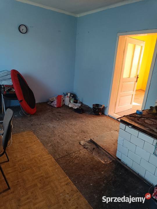 Dom na dużej działce z małym laskiem śląskie