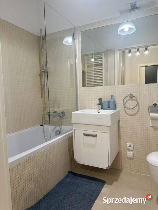 Komfortowe 2pokojowe mieszkanie z osobną kuchnią 50m2 Poznań sprzedam