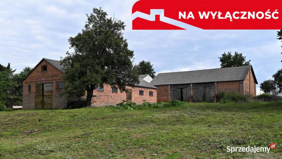 Radomirka dom i budynki gosp ponad 1ha gruntu 10570m2