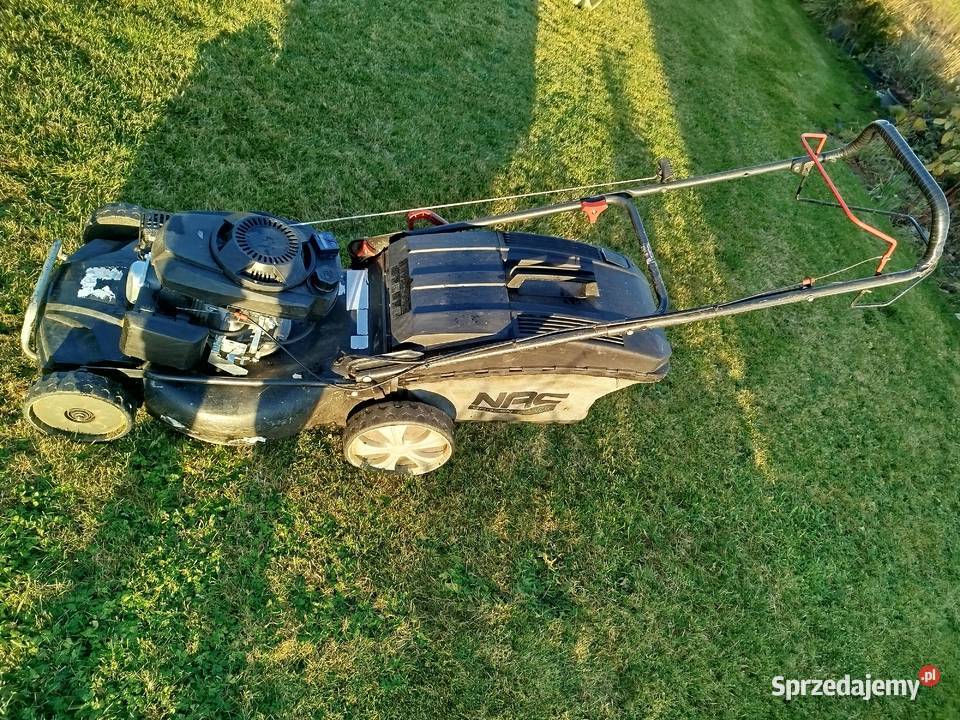 Kosiarka spalinowa NAC LS 53 Kleszczewo