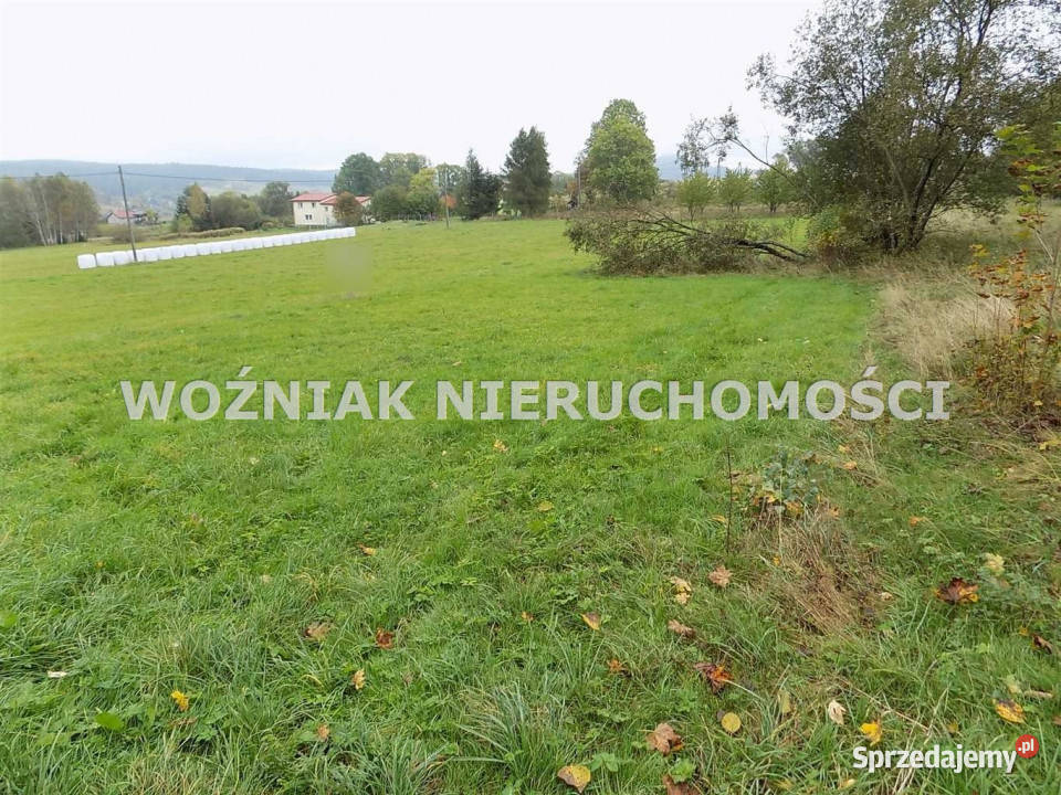 Działka 6000m2 Bartnica