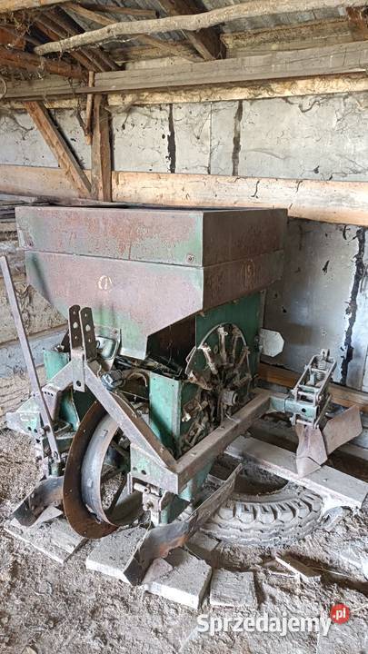 Sadzarka do ziemniaków łódzkie Kodrąb